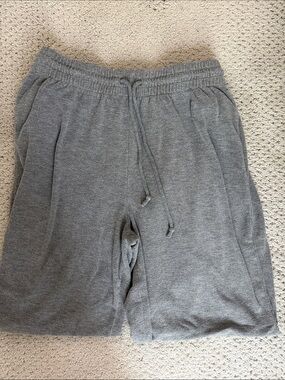 Aritzia Women’s Grey Sweatpants